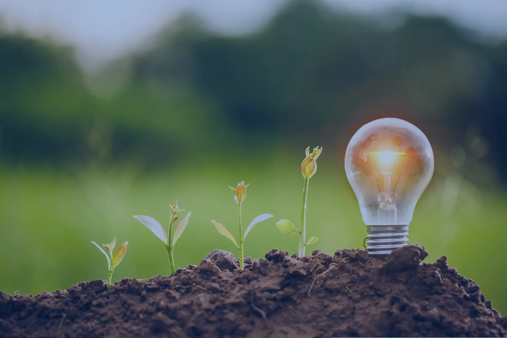 Adhésion au Pacte Mondial des Nations Unies