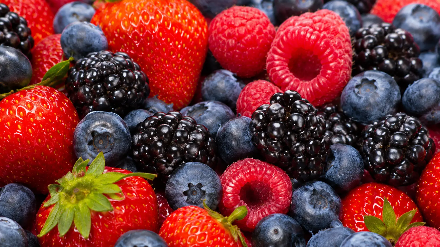 Agroalimentaire